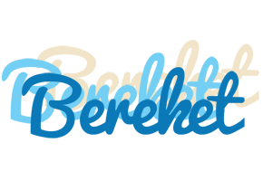 Bereket breeze logo