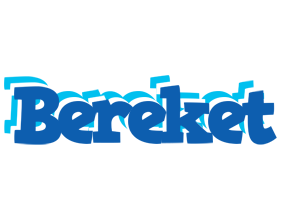 Bereket business logo