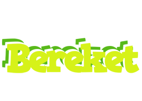 Bereket citrus logo