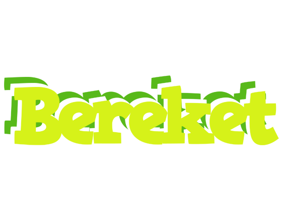 Bereket citrus logo