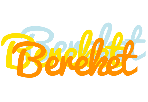 Bereket energy logo