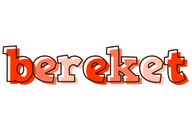 Bereket paint logo