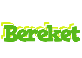 Bereket picnic logo