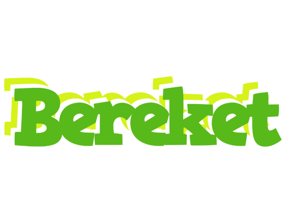 Bereket picnic logo