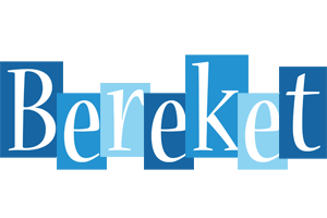 Bereket winter logo