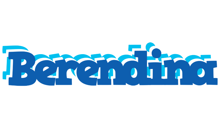 Berendina business logo