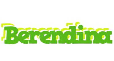 Berendina picnic logo