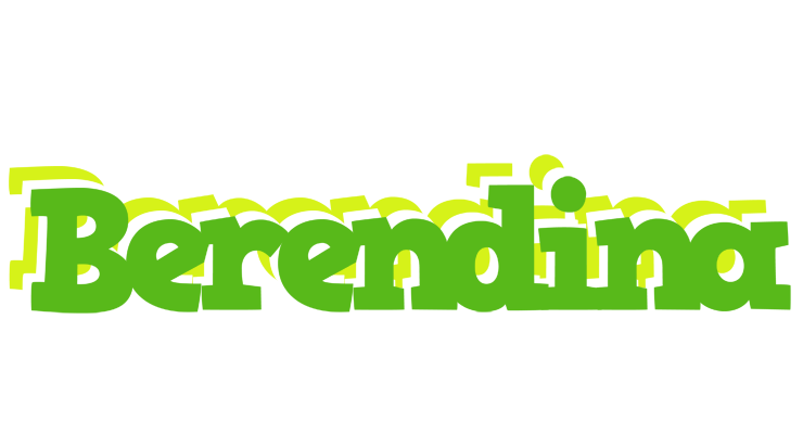 Berendina picnic logo