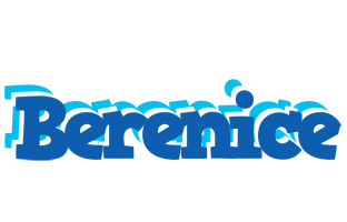 Berenice business logo