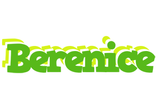 Berenice picnic logo