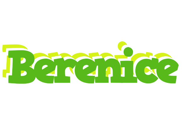 Berenice picnic logo