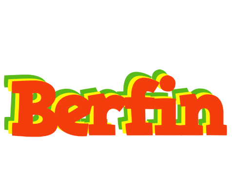 Berfin bbq logo