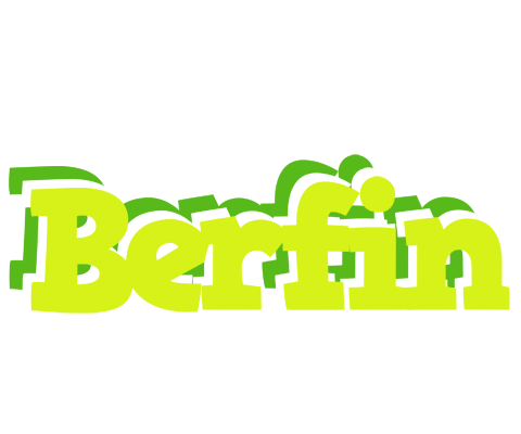 Berfin citrus logo