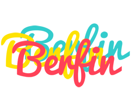 Berfin disco logo