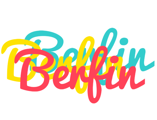 Berfin disco logo