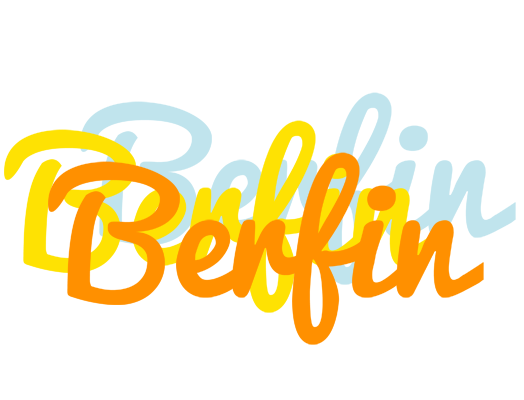 Berfin energy logo