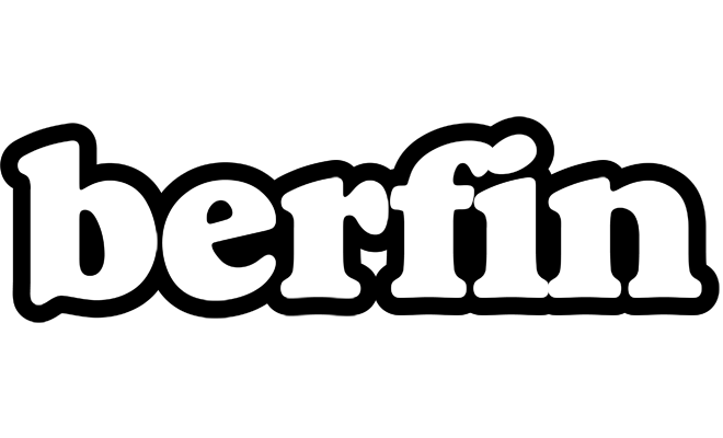 Berfin panda logo
