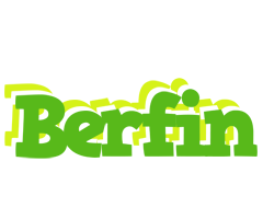 Berfin picnic logo