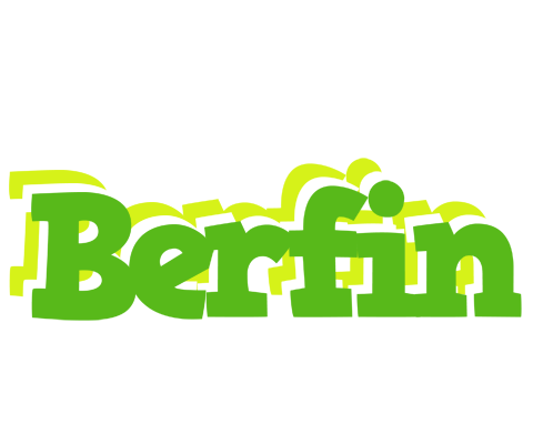 Berfin picnic logo