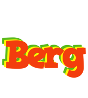 Berg bbq logo