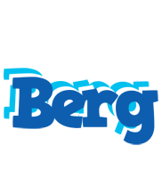 Berg business logo