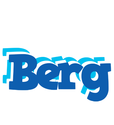 Berg business logo