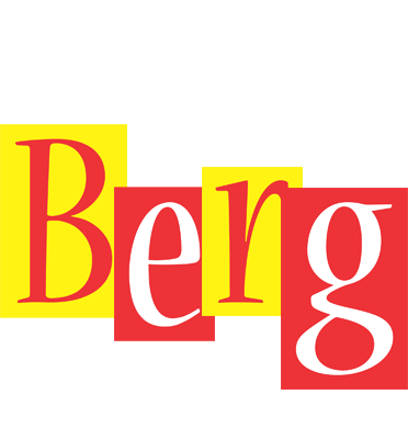 Berg errors logo