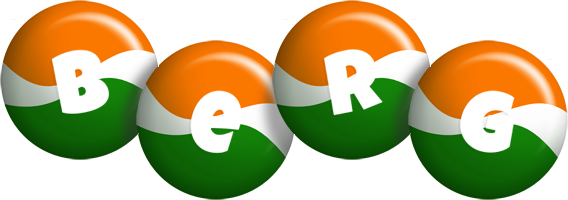 Berg india logo