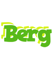 Berg picnic logo