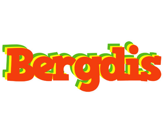 Bergdis bbq logo