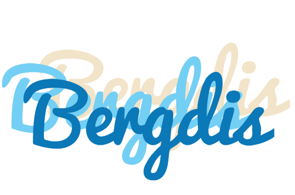 Bergdis breeze logo