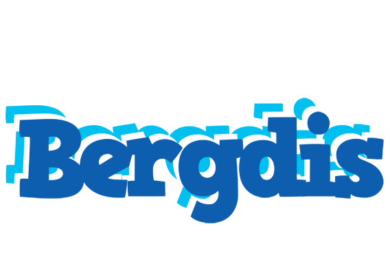 Bergdis business logo