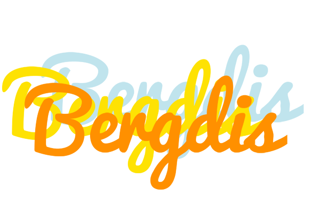 Bergdis energy logo