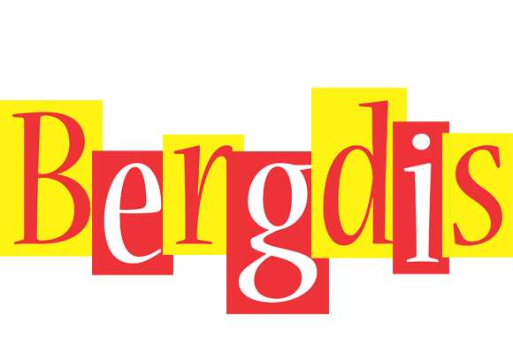 Bergdis errors logo
