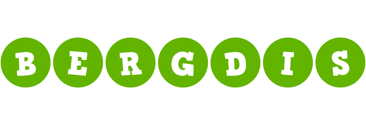 Bergdis games logo