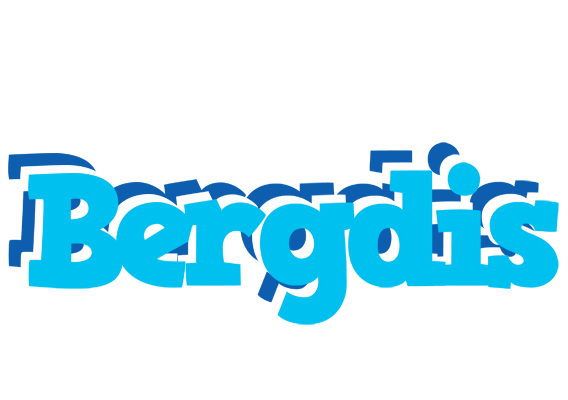 Bergdis jacuzzi logo