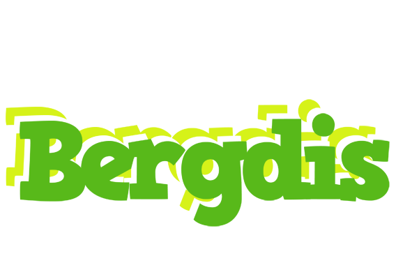 Bergdis picnic logo