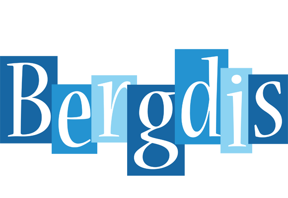 Bergdis winter logo