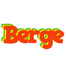 Berge bbq logo