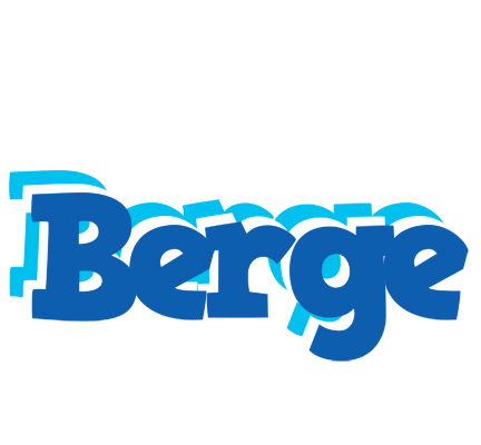 Berge business logo