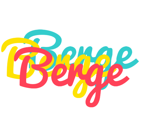 Berge disco logo