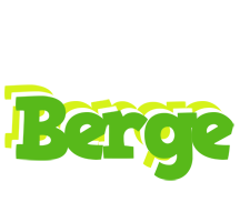 Berge picnic logo