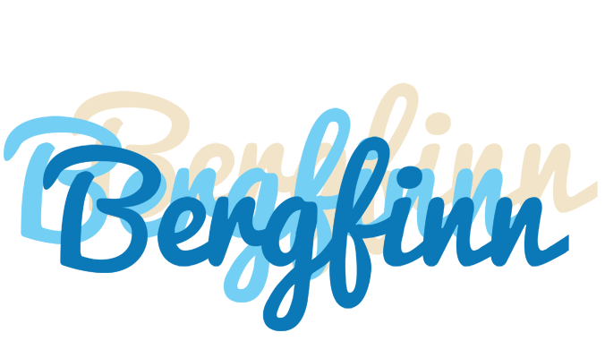 Bergfinn breeze logo
