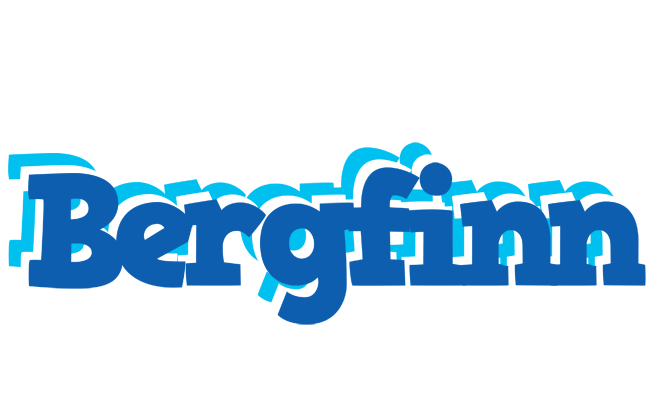 Bergfinn business logo