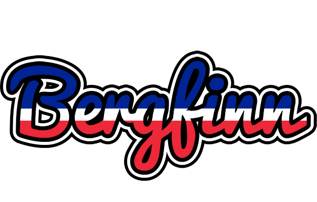 Bergfinn france logo