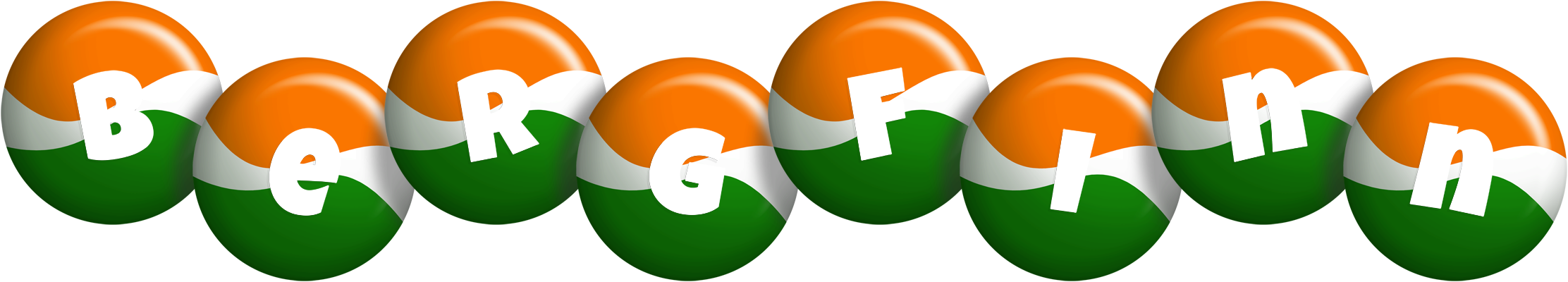 Bergfinn india logo