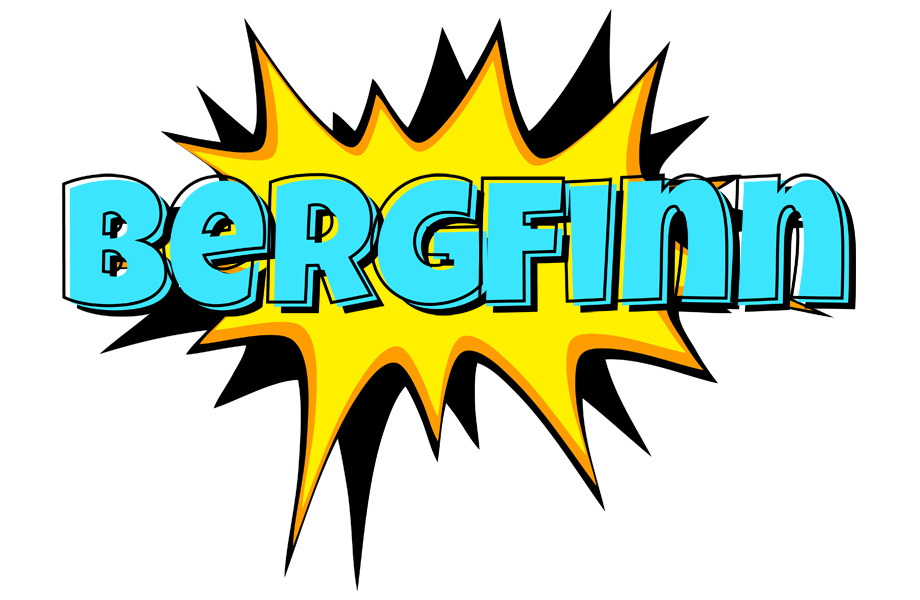 Bergfinn indycar logo