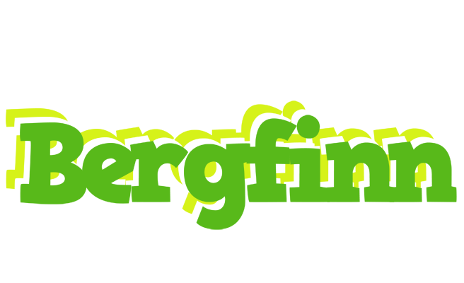 Bergfinn picnic logo