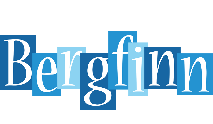 Bergfinn winter logo
