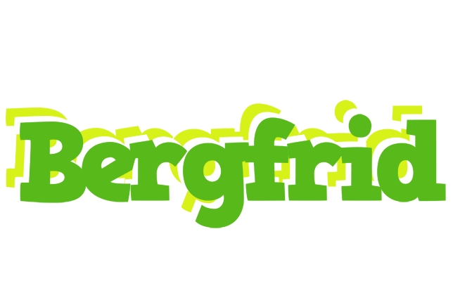 Bergfrid picnic logo